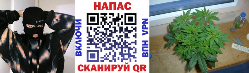 darknet наркотические препараты  Новоуральск  Бошки Шишки VHQ 